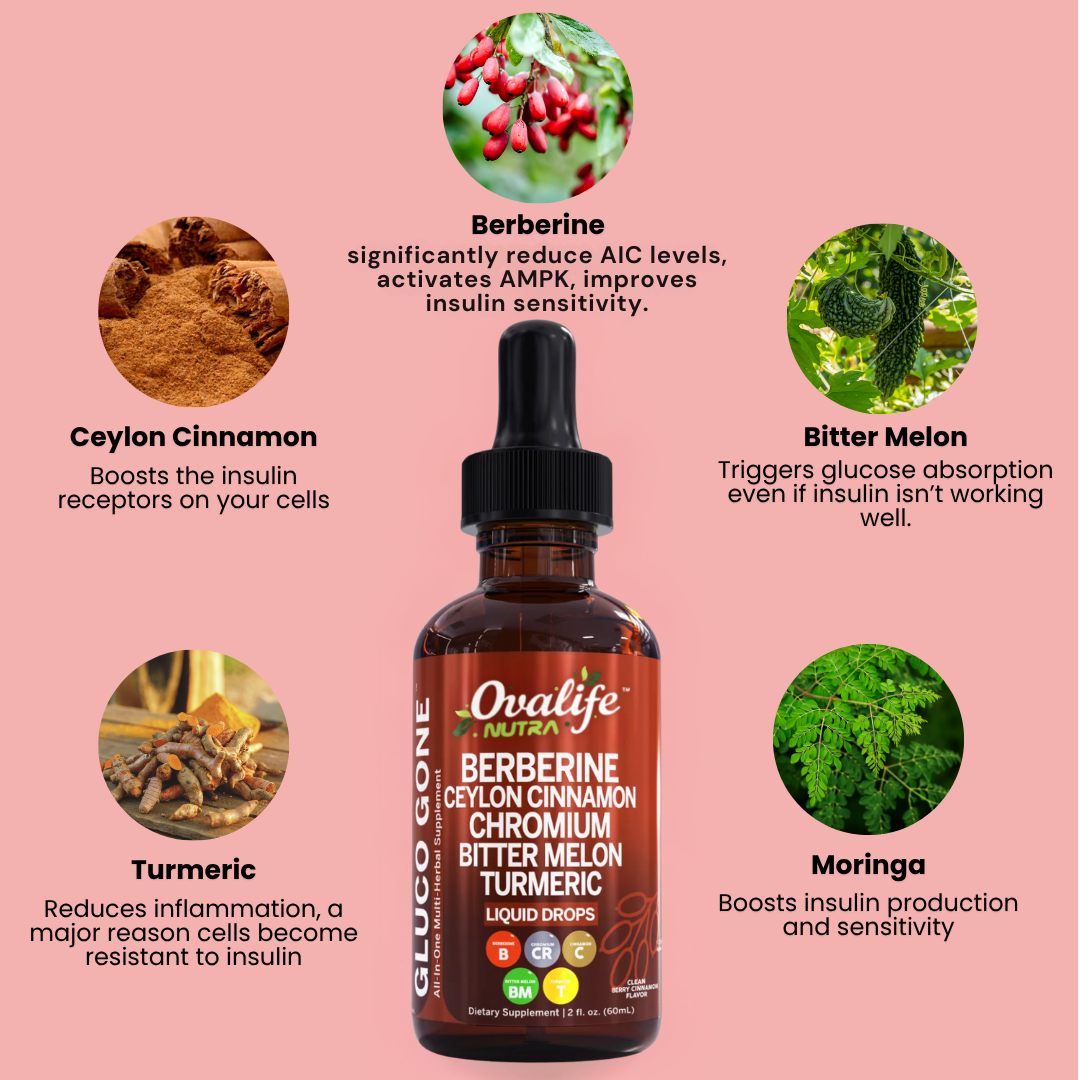 Berberine Blood Sugar Support Drops