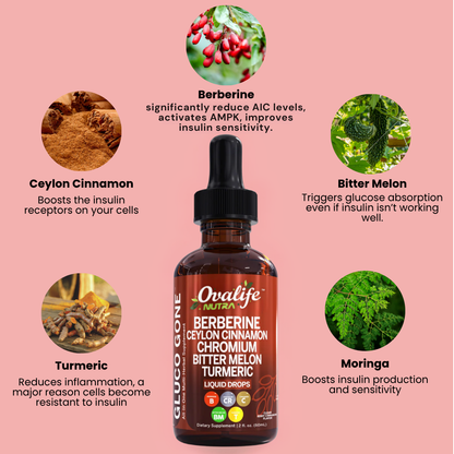 Berberine Blood Sugar Support Drops