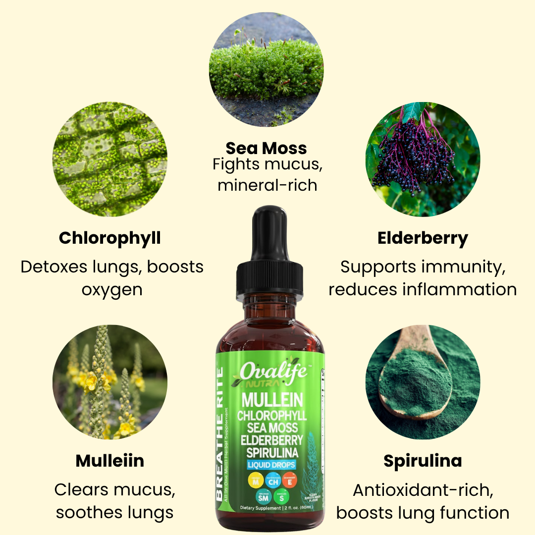 Breathe Clear Lung Support Drops